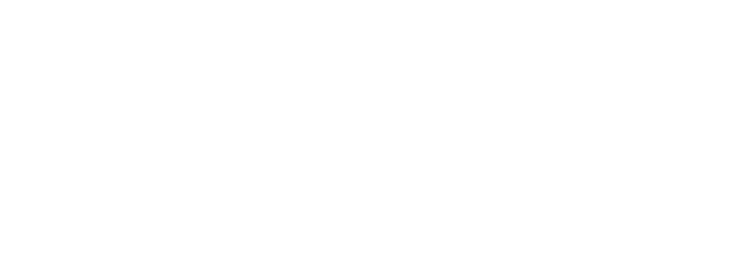 RI CFORI